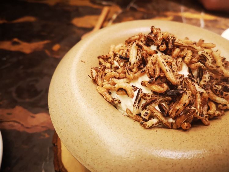 Anglo @ Trade | My Soho Times